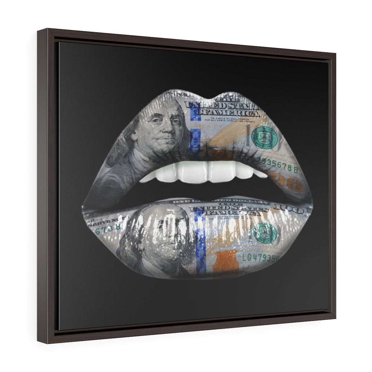 Dollar Lips | Framed Gallery Canvas