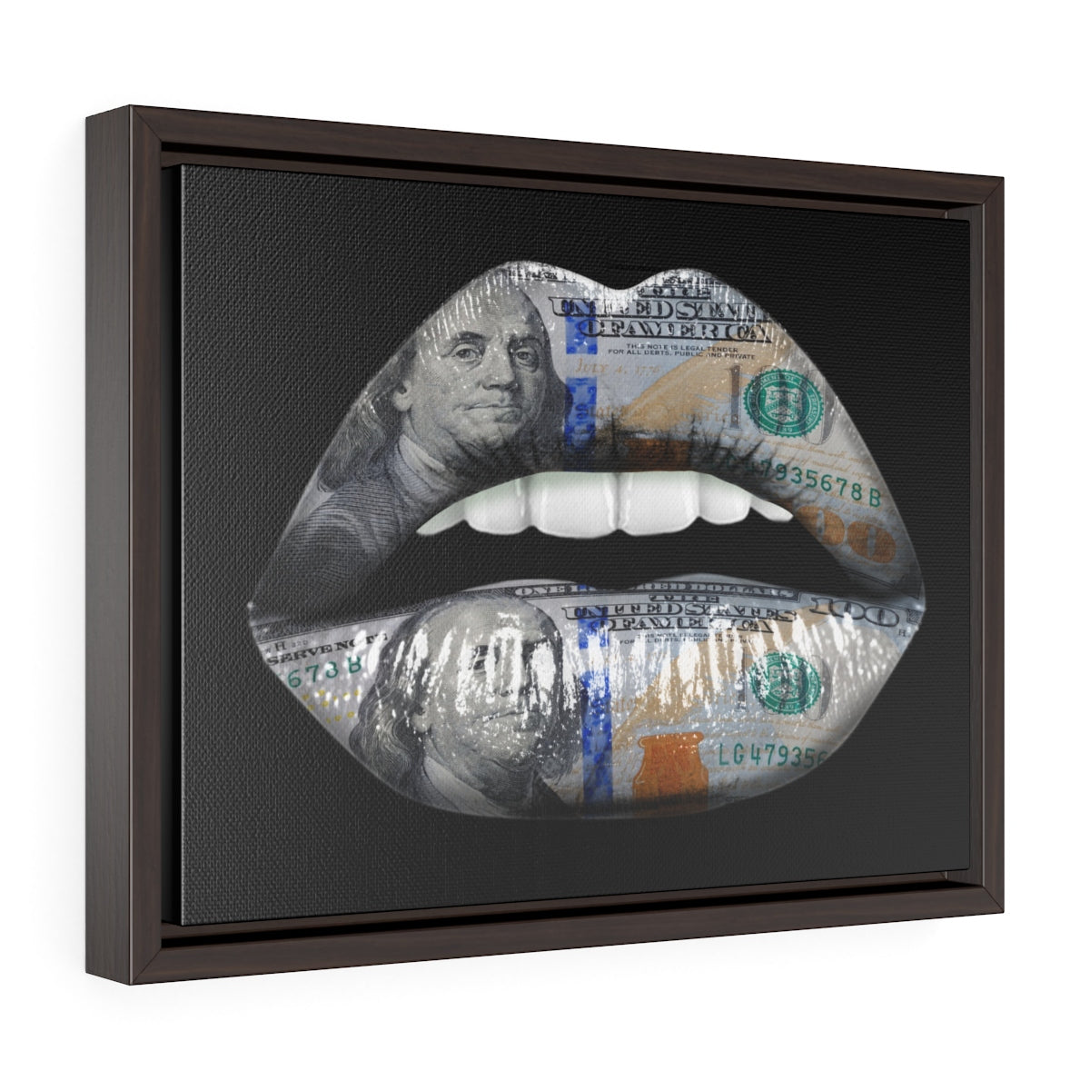 Dollar Lips | Framed Gallery Canvas