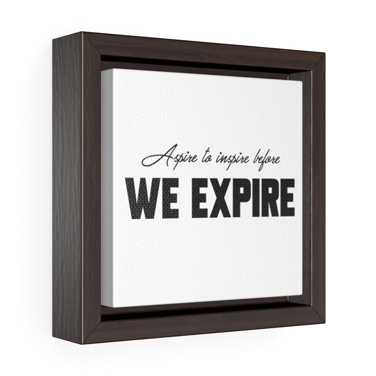 Aspire To Inspire Before We Expire | Framed Gallery Canvas
