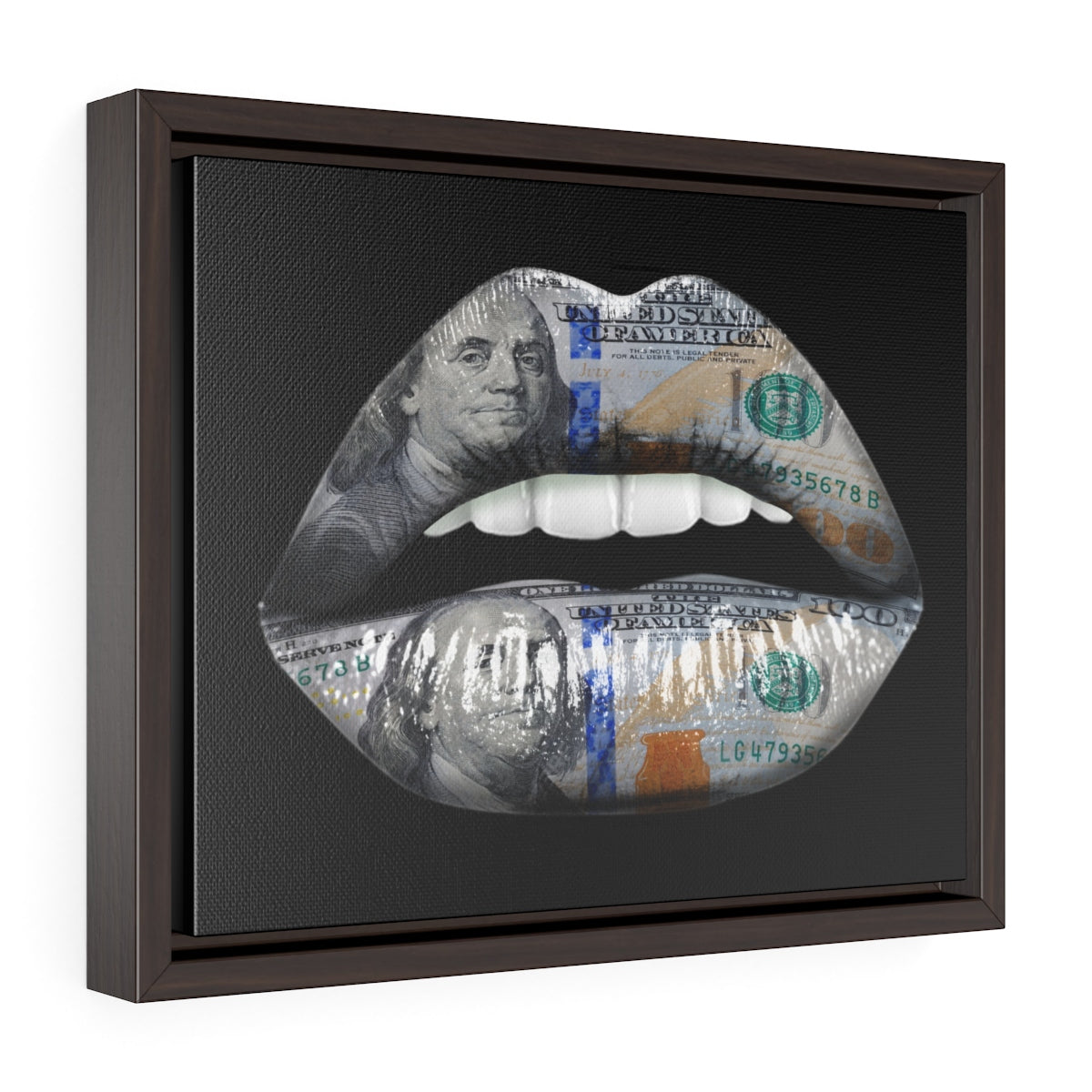 Dollar Lips | Framed Gallery Canvas