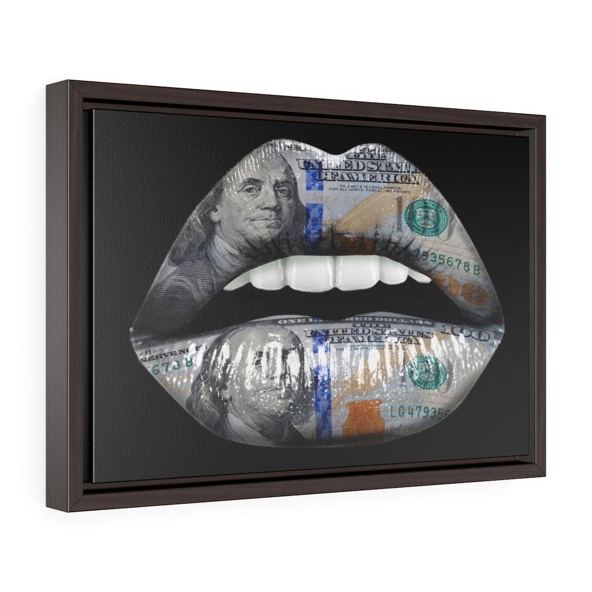 Dollar Lips | Framed Gallery Canvas